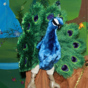 Soleillo et les cocos (2)